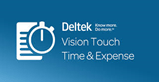 Deltek Vision